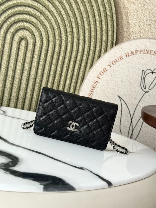 Chanel Quilted WOC Crossbody Bag image 1