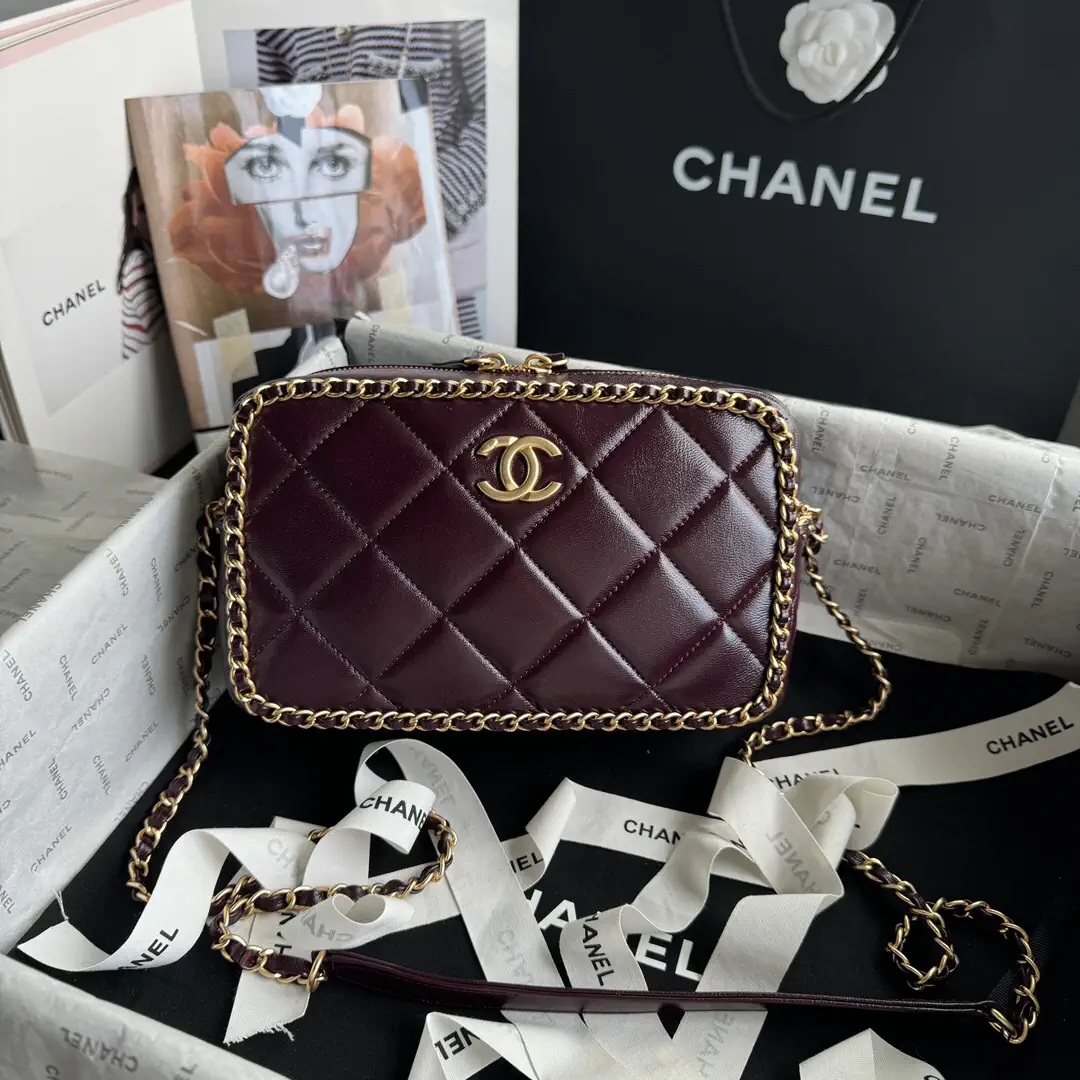Chanel Quilted Chain Trim Camera Crossbody Bag image 1