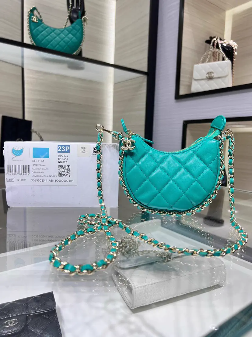 Chanel Quilted Leather Chain Moon Crossbody Bag image 1