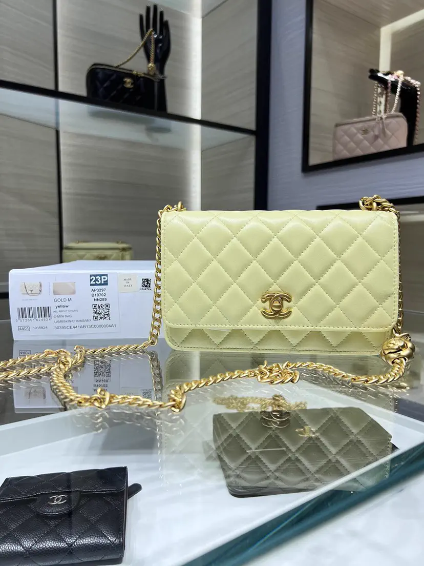 Chanel Quilted Chain Crossbody Bag image 1