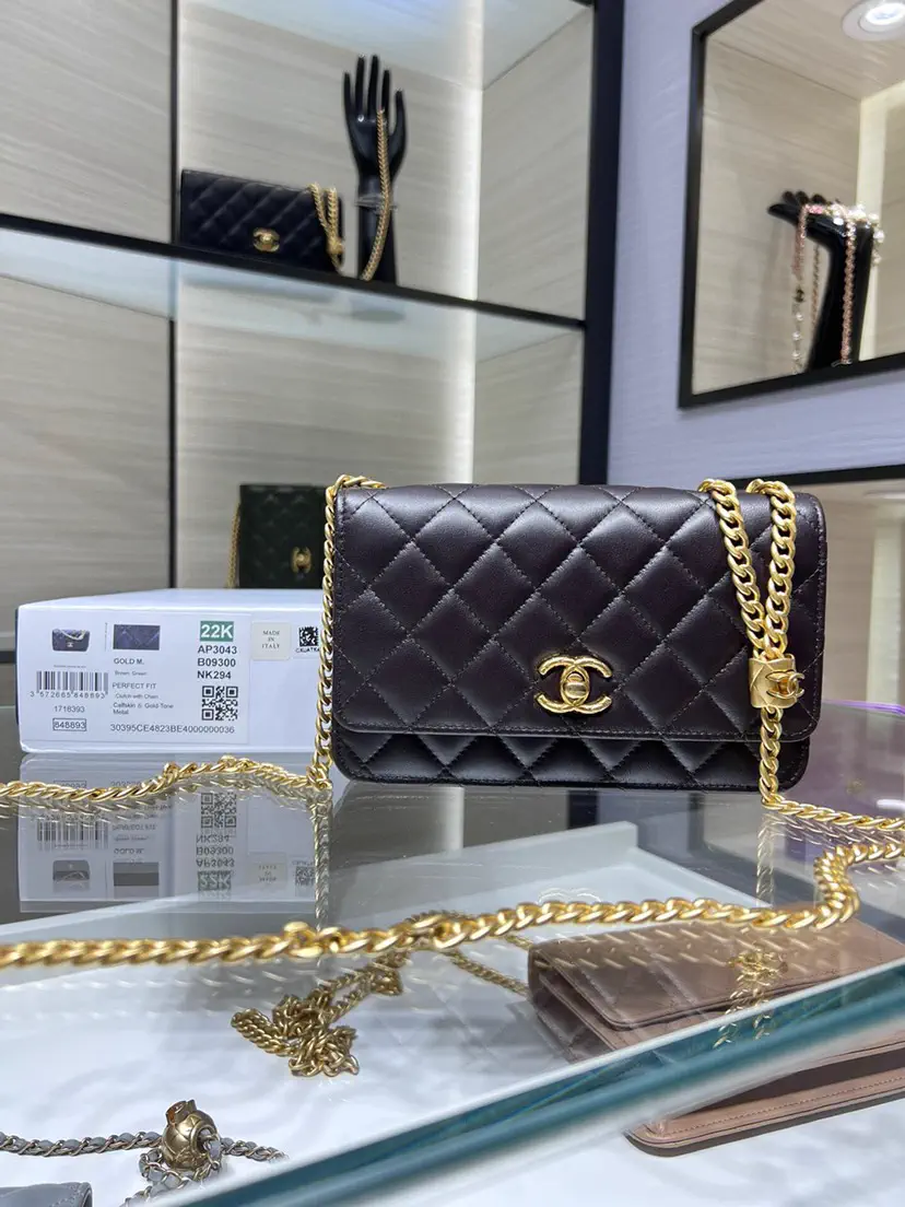 Chanel Quilted Chain Crossbody Bag image 1