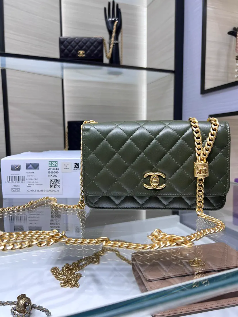 Chanel Quilted Chain Crossbody Bag image 1