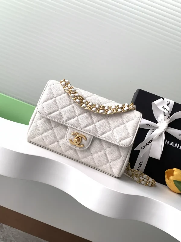 Chanel Quilted Double Chain Shoulder Bag image 1