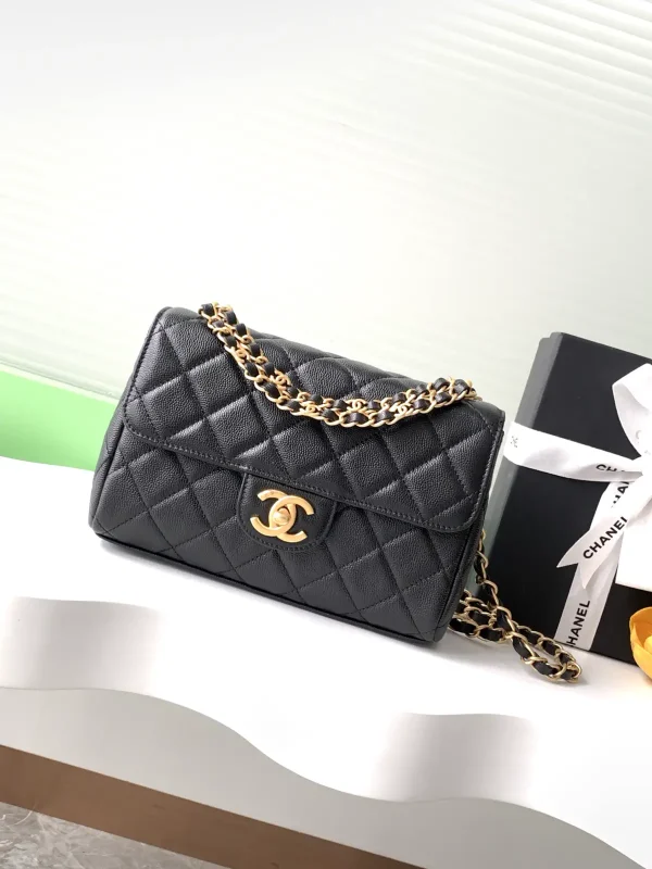 Chanel Quilted Double Chain Shoulder Bag image 1