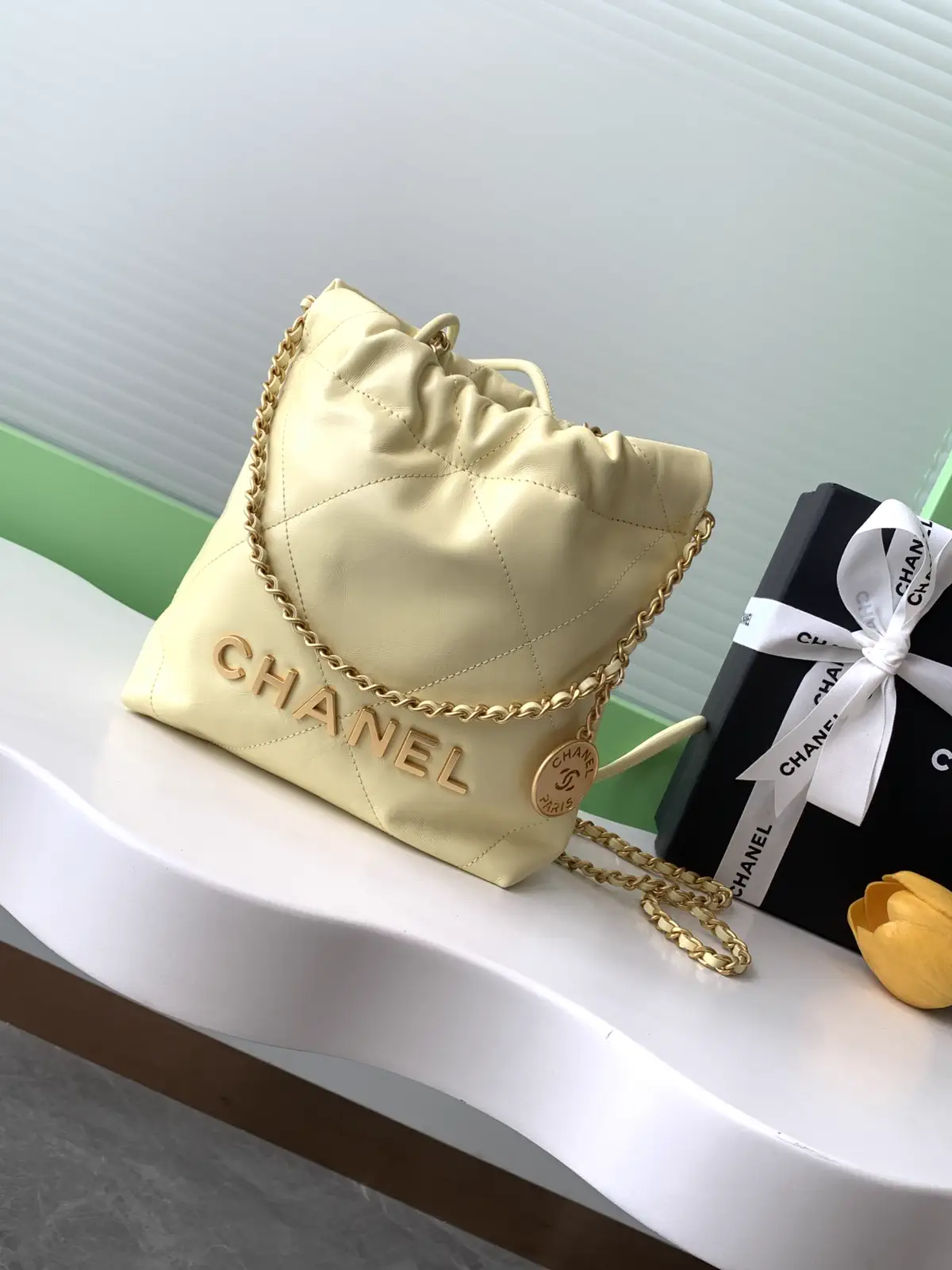 Chanel Mini 22 Quilted Chain Bag image 1