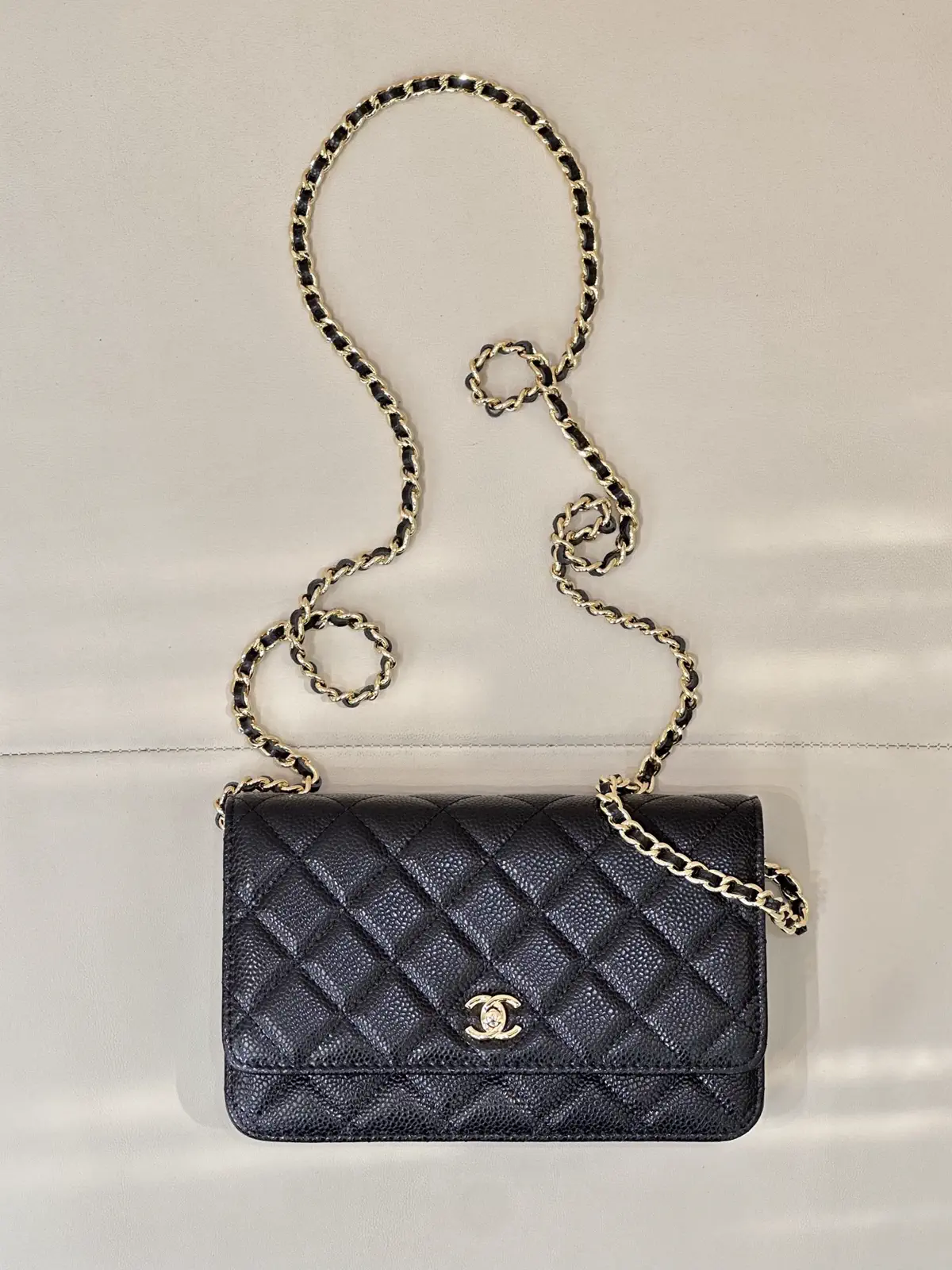 Chanel Quilted Chain Crossbody Bag image 1