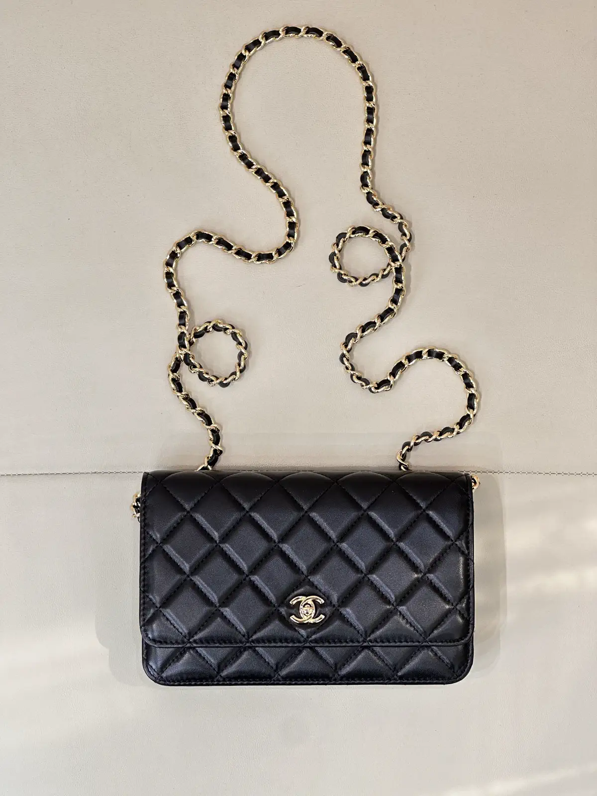 Chanel Quilted Chain Crossbody Bag image 1