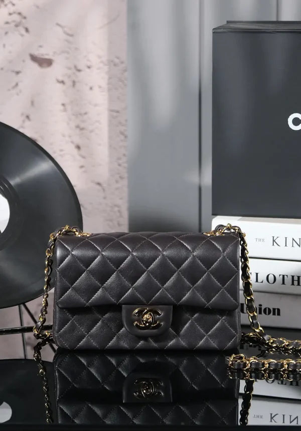 Chanel Quilted Double Flap Chain Bag image 1