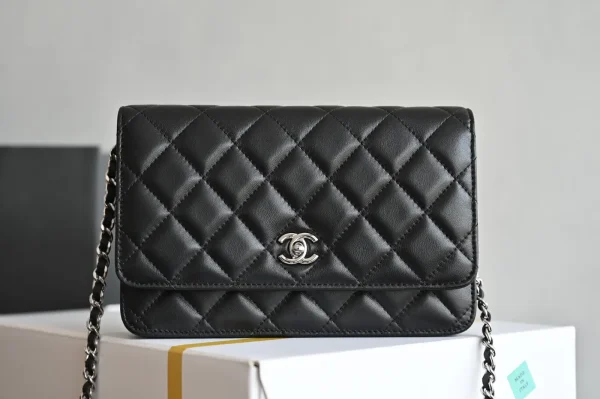 Chanel Quilted Wallet on Chain Crossbody Bag image 1