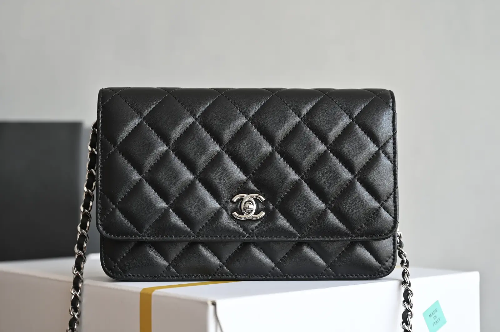 Chanel Quilted Wallet on Chain Crossbody Bag image 1