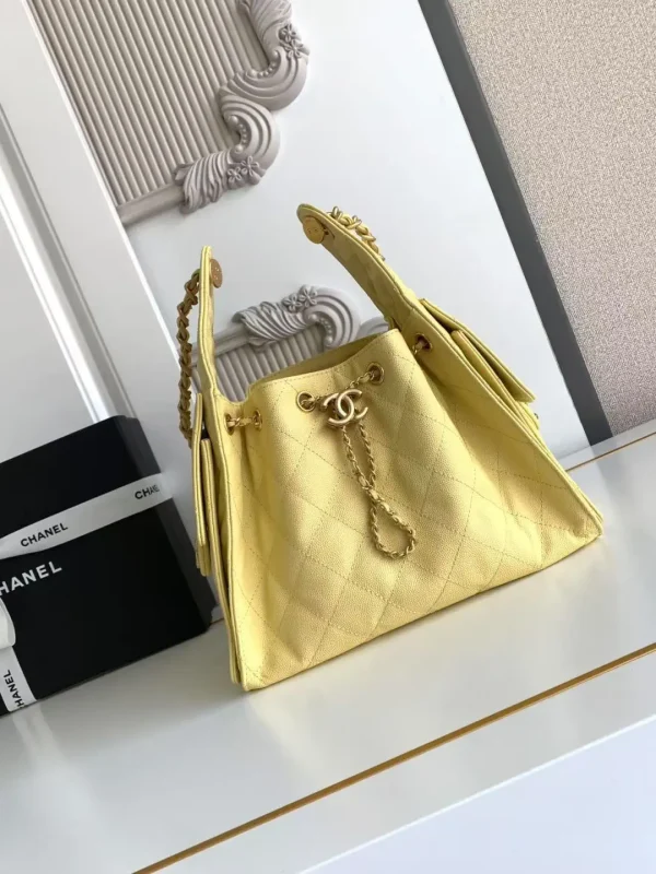Chanel Quilted Chain Hobo Shoulder Bag image 1