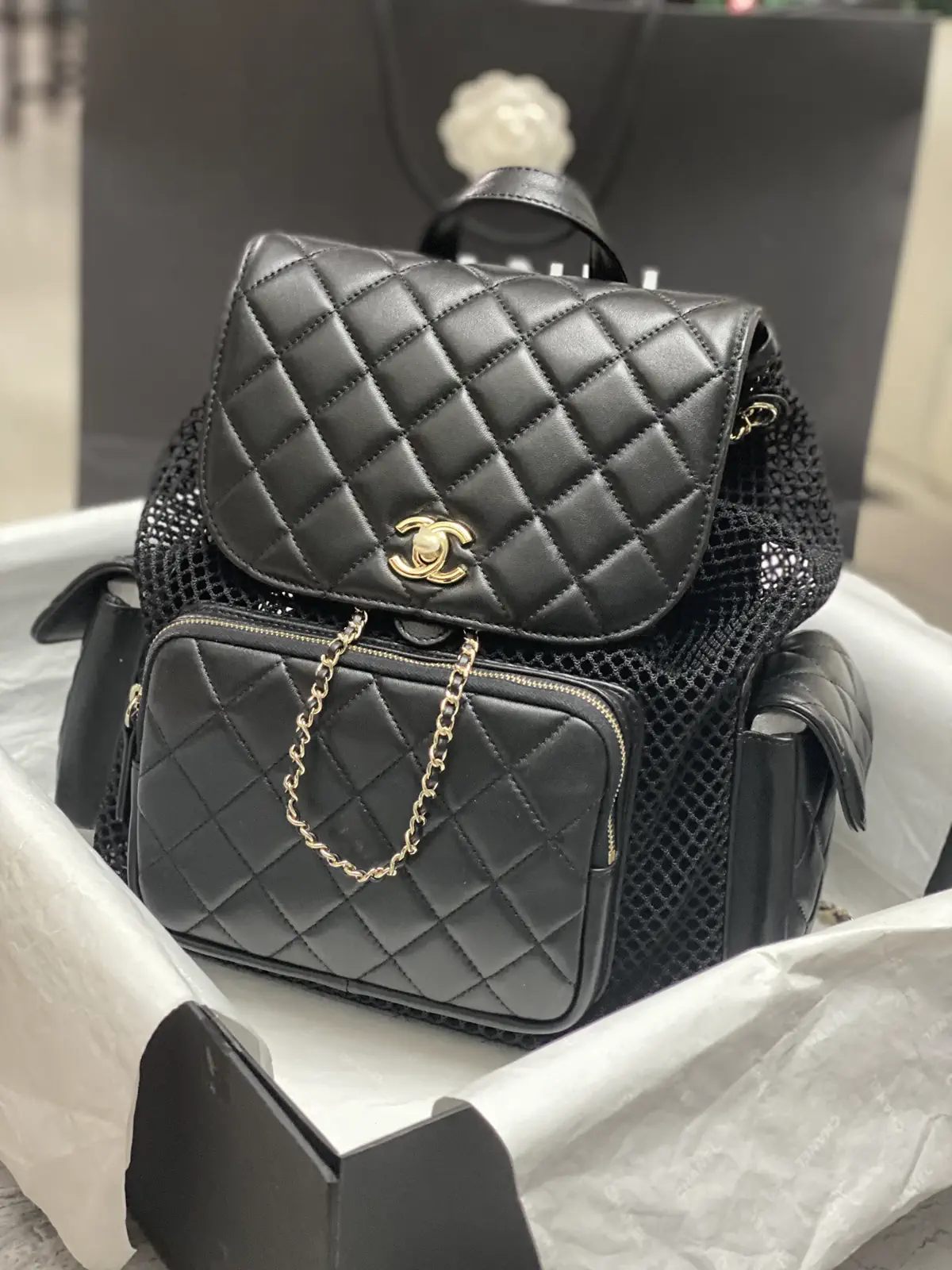 Chanel Quilted Mesh Backpack image 1