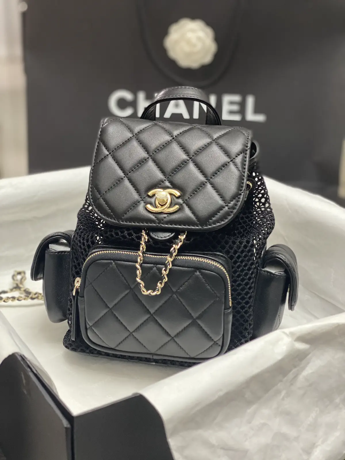 Chanel Quilted Mesh Backpack image 1
