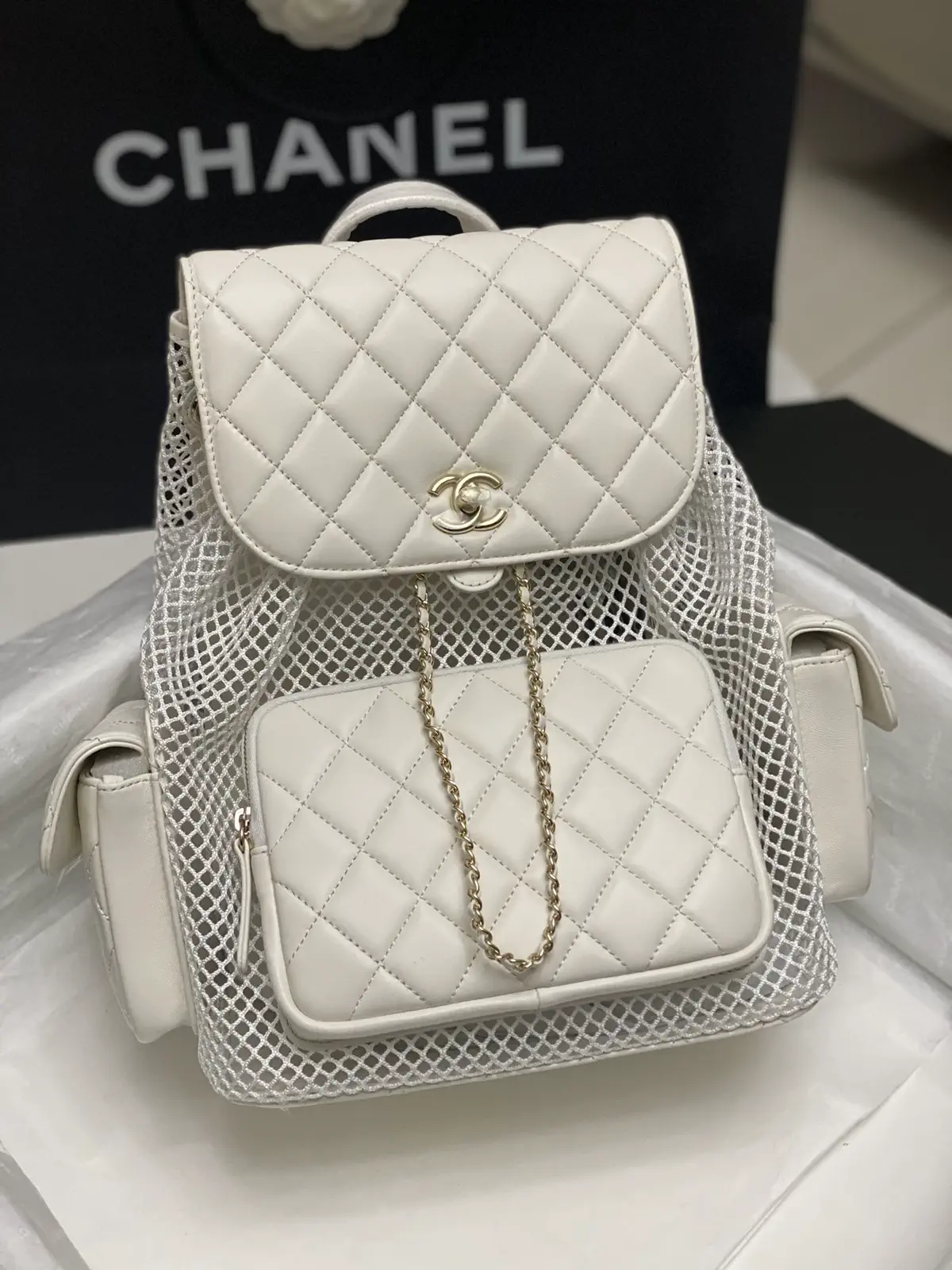 Chanel Quilted Mesh Backpack image 1