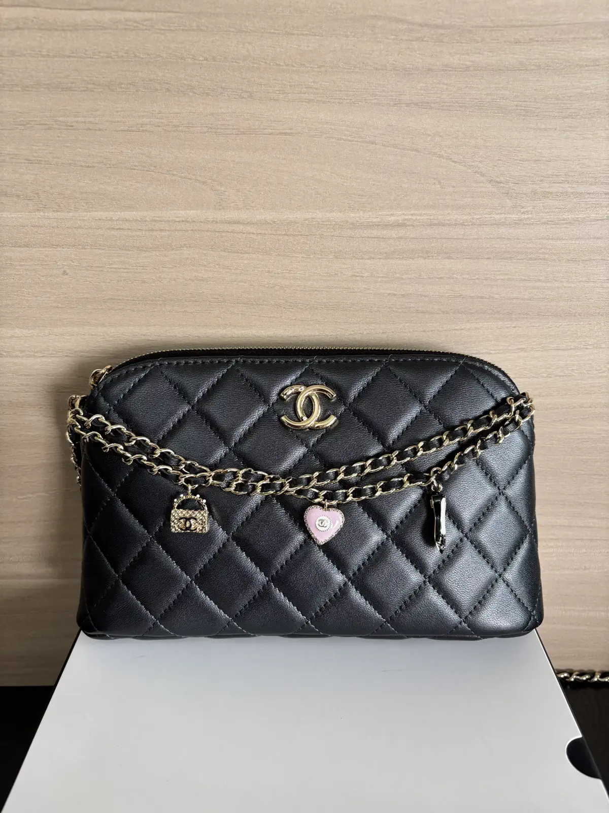 Chanel Quilted Chain Crossbody Bag image 1
