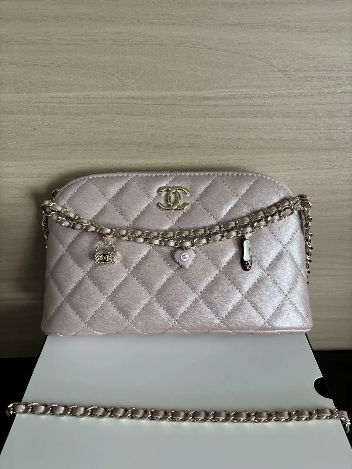 Chanel Quilted Chain Crossbody Bag image 1