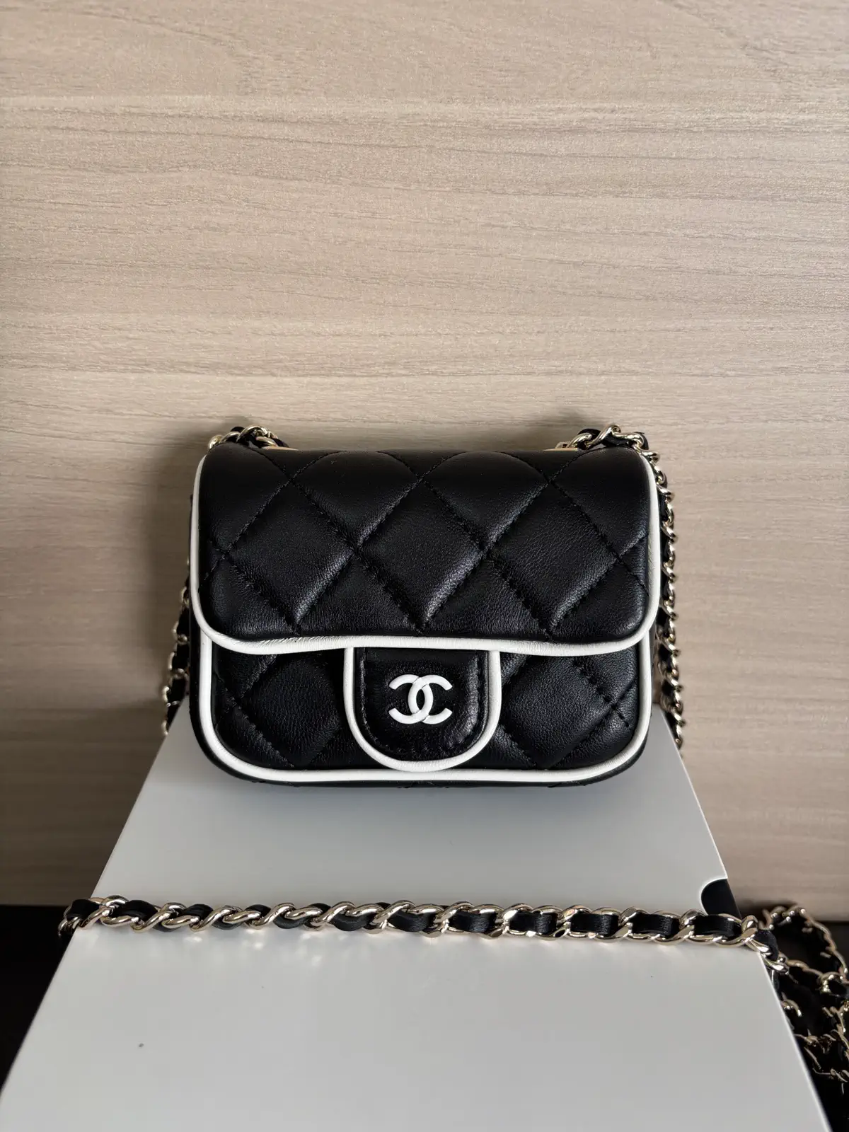 Chanel Quilted Mini Crossbody Bag image 1