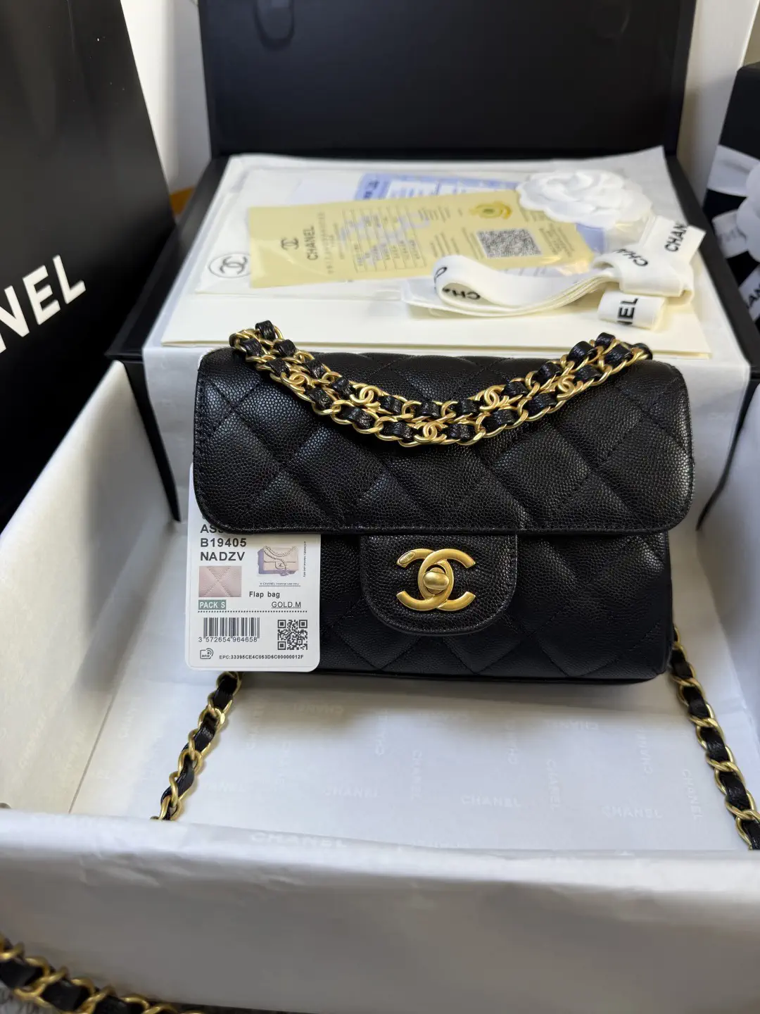 Chanel Quilted Double Chain Flap Bag image 1