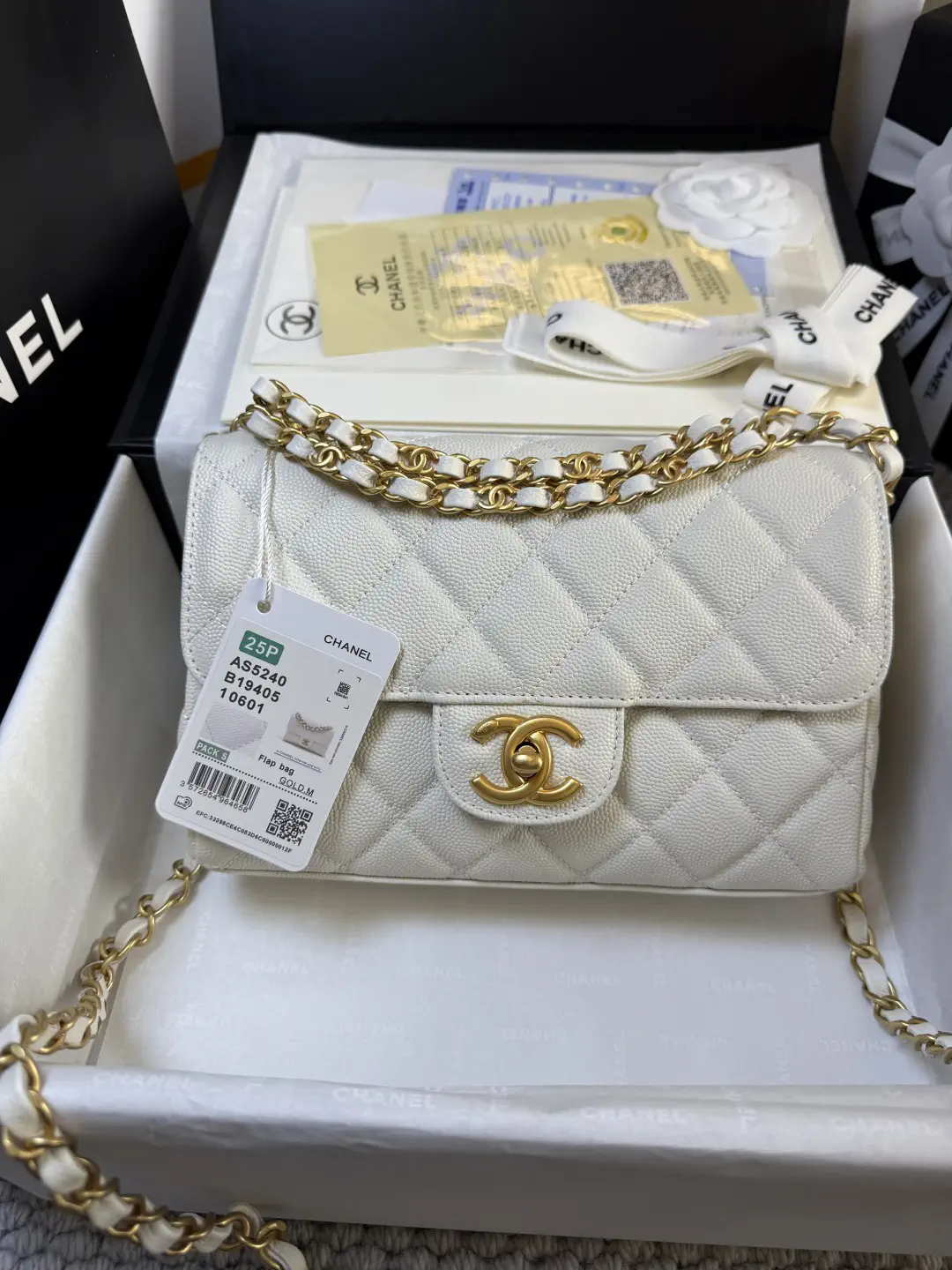 Chanel Quilted Double Chain Flap Shoulder Bag image 1