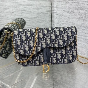 Dior Saddle Chain WOC Bag image 1