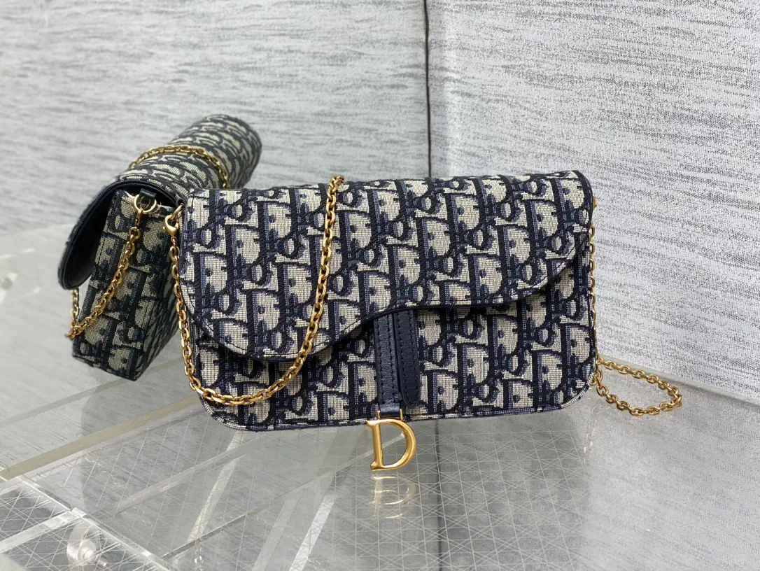 Dior Saddle Chain WOC Bag image 1