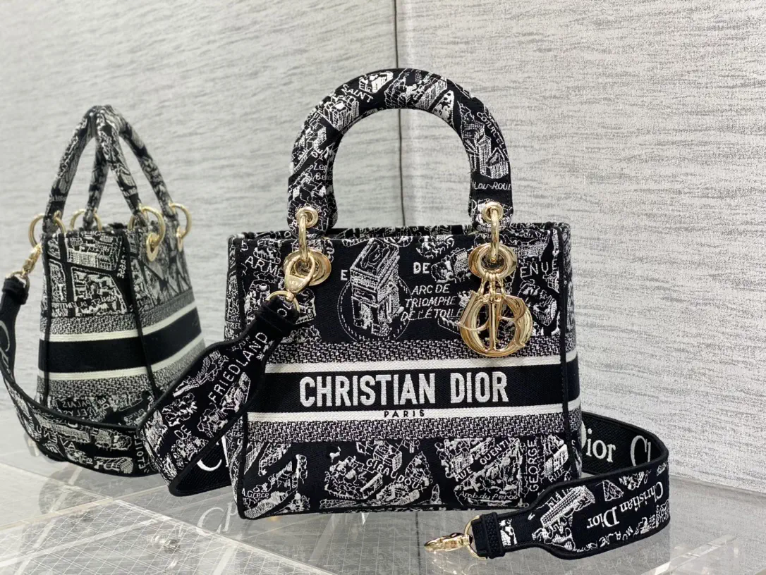 Dior Paris Map Embroidered Top Handle Bag image 1