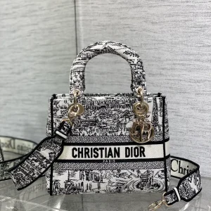 Dior Paris Street Embroidered Lady Top Handle Bag image 1