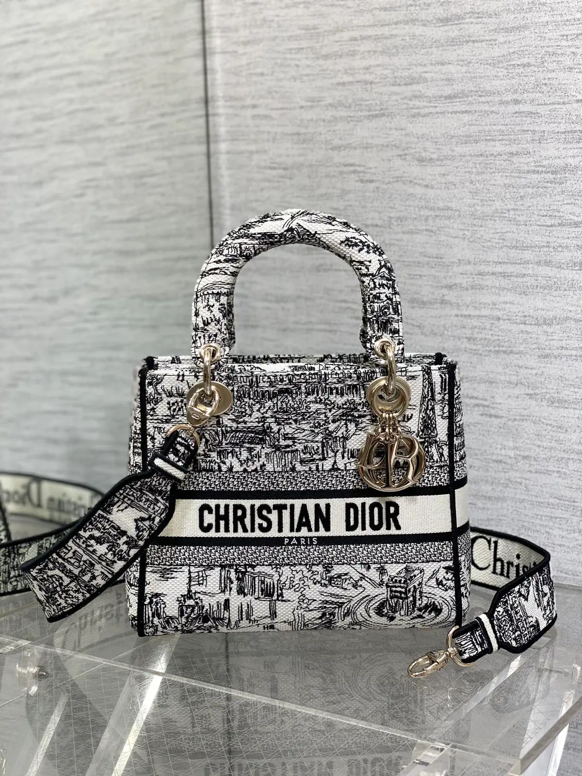 Dior Paris Street Embroidered Lady Top Handle Bag image 1