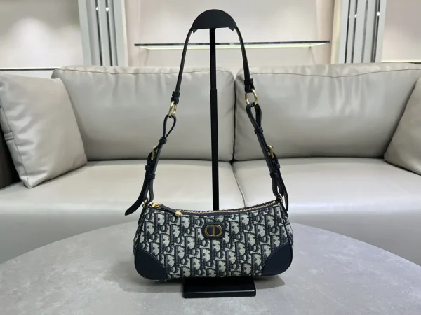 Dior Wanderlust Mini Bag with Blue Oblique Print image 1