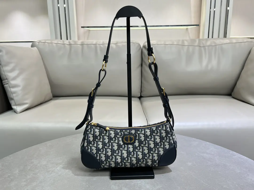 Dior Wanderlust Mini Bag with Blue Oblique Print image 1