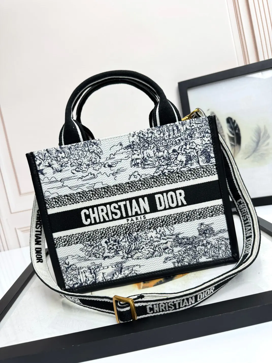 Dior Embroidered Landscape Book Tote Bag image 1