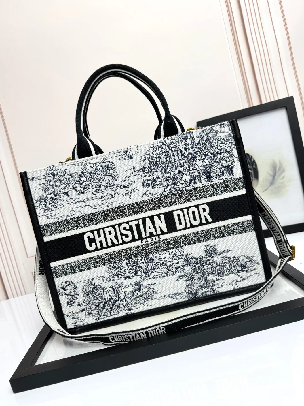 Dior Landscape Embroidered Book Tote Bag image 1