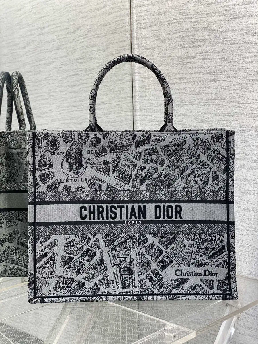 Dior Paris Map Embroidered Tote Bag image 1