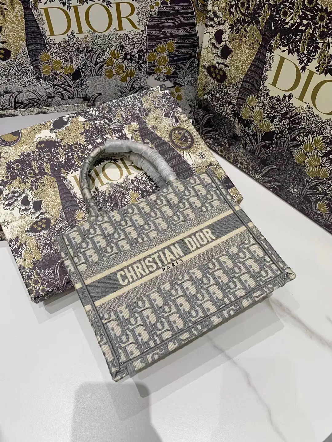 Dior Gray Oblique Embroidered Small Book Tote Bag image 1