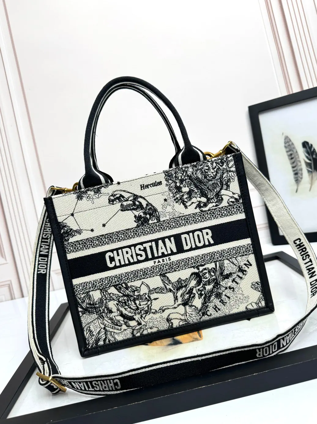 Dior Hercules Print Book Tote Bag image 1