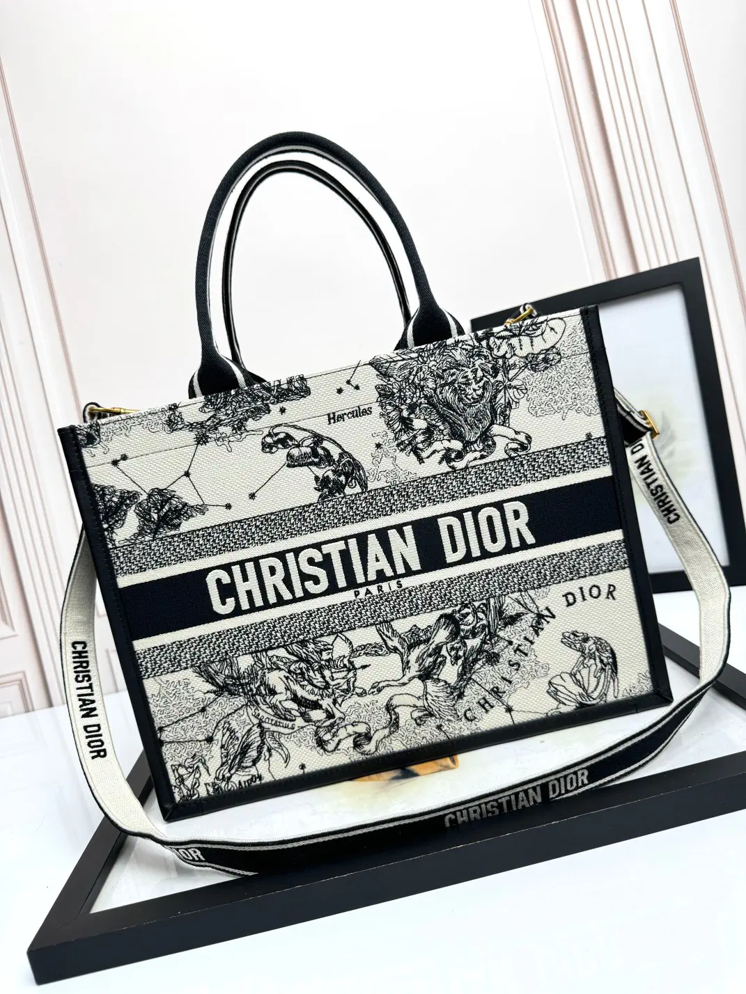 Dior Zodiac Print Book Tote Bag image 1