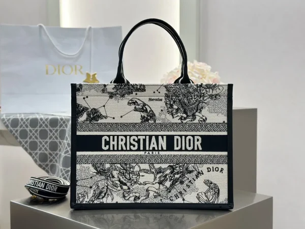 Dior Constellation Embroidered Book Tote Bag image 1