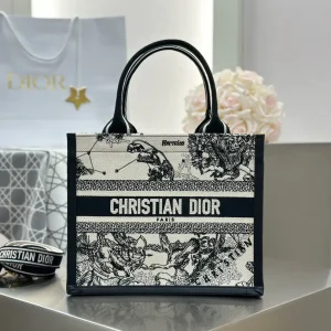 Dior Constellation Embroidered Book Tote Bag image 1