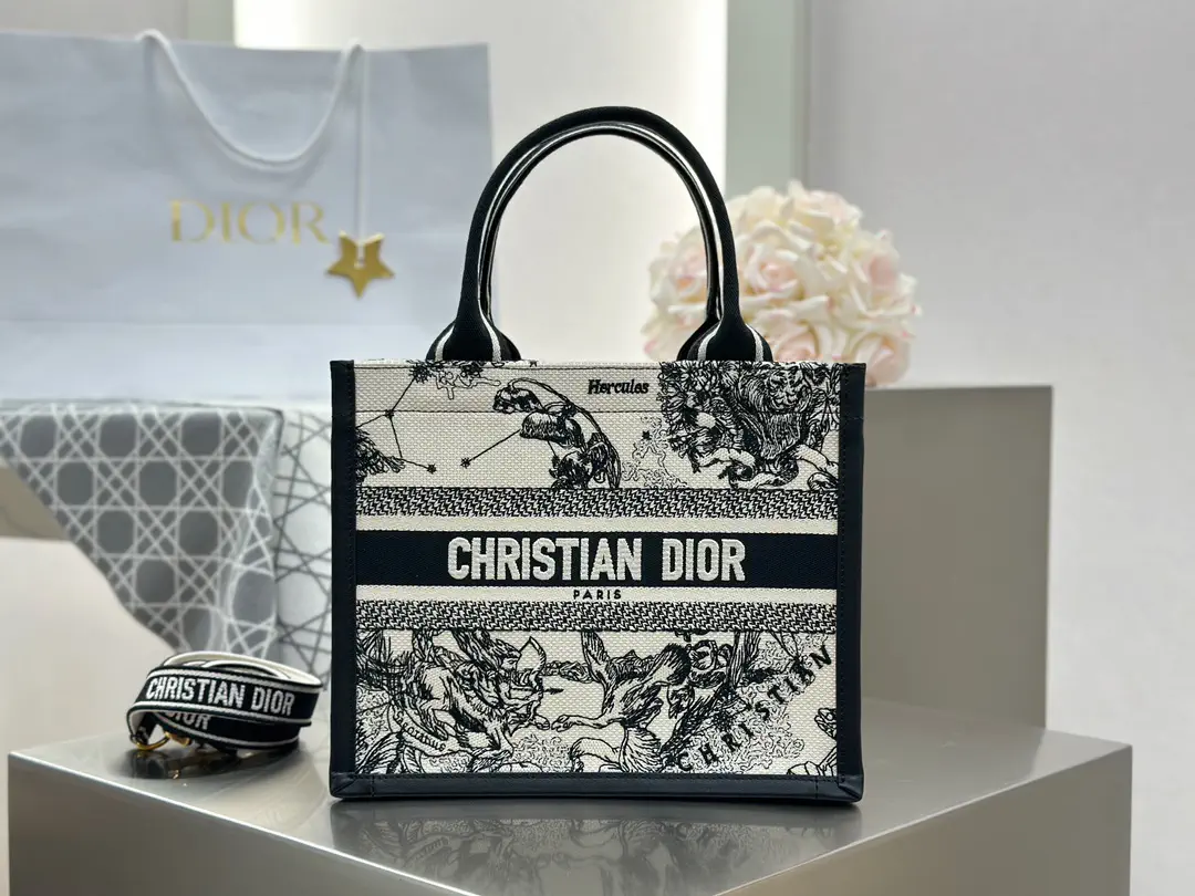 Dior Constellation Embroidered Book Tote Bag image 1