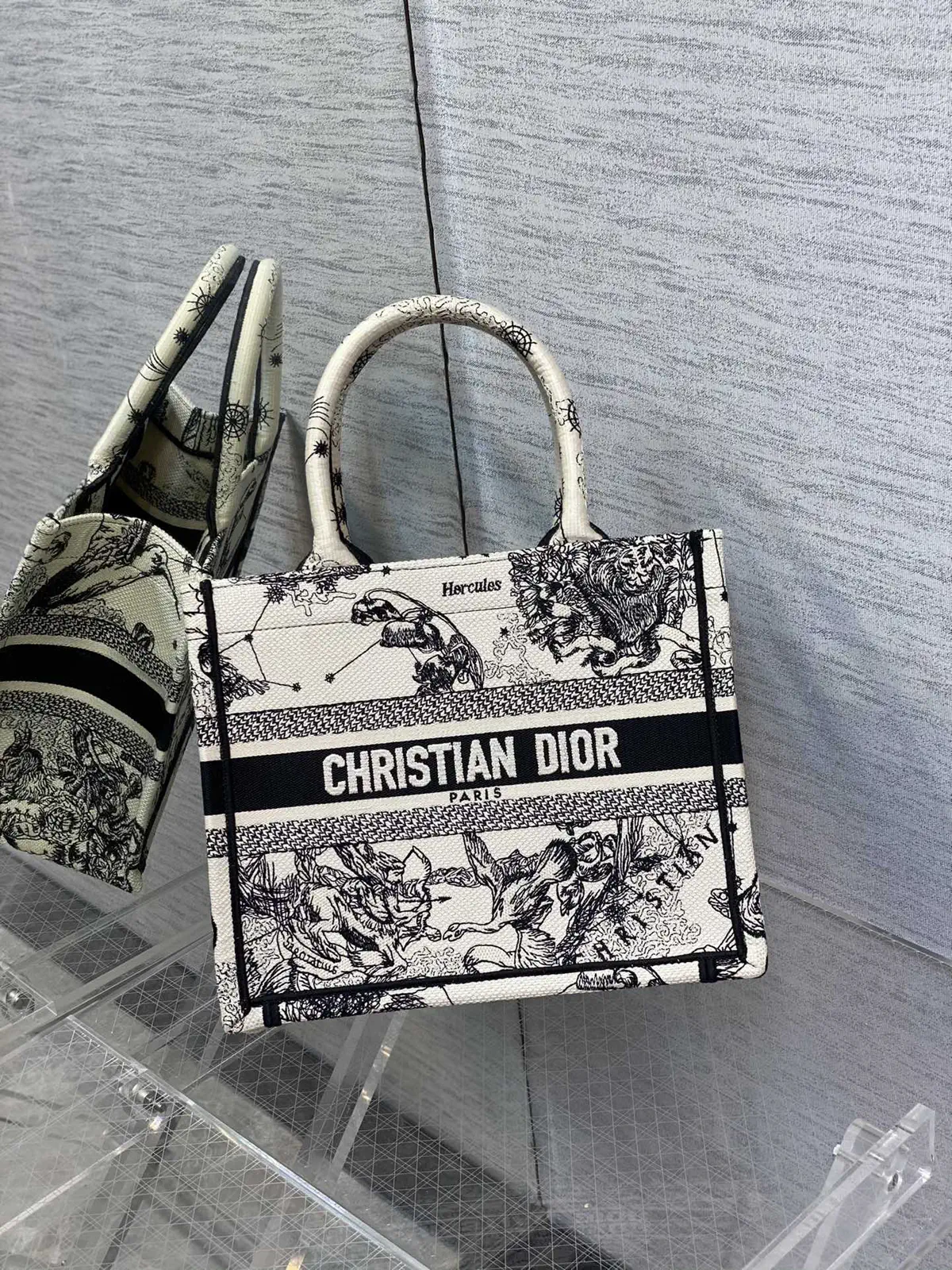 Dior Constellation Embroidered Tote Bag image 1