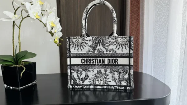 Dior Sun Embroidered Tote Bag image 1