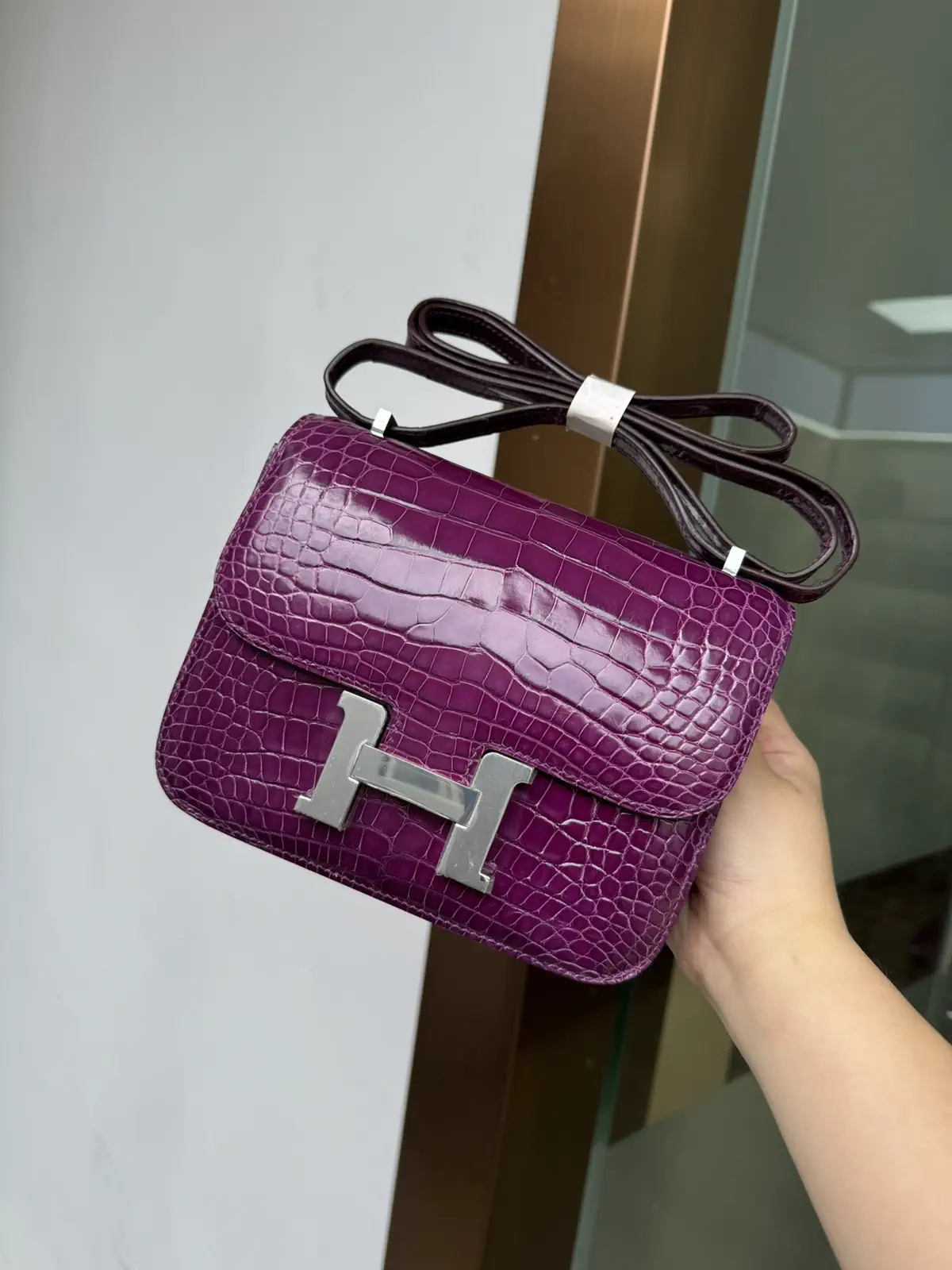 Hermès Crocodile Constance 19 Shoulder Bag image 1