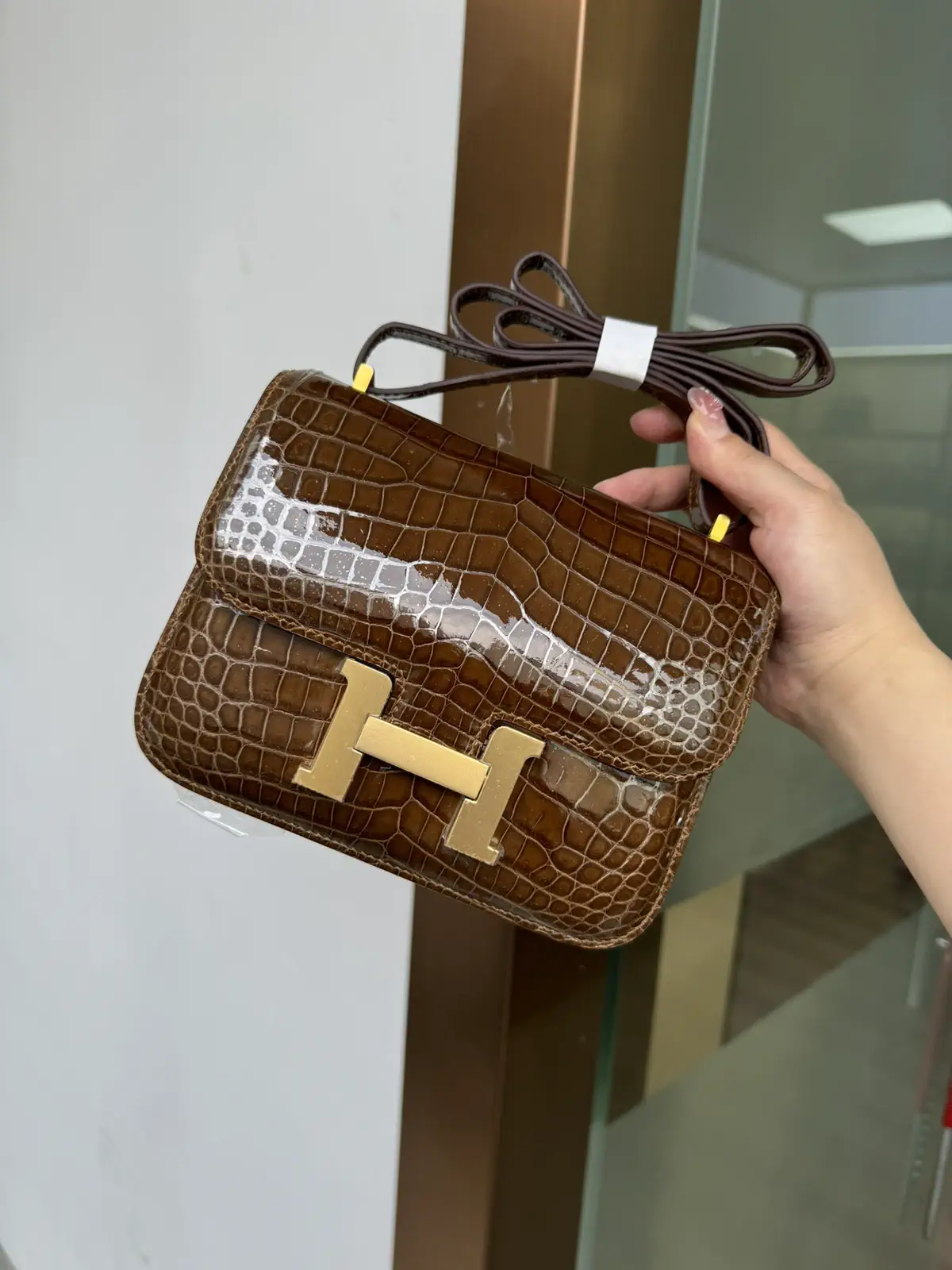 Crocodile Pattern Constance 19 Shoulder Bag image 1