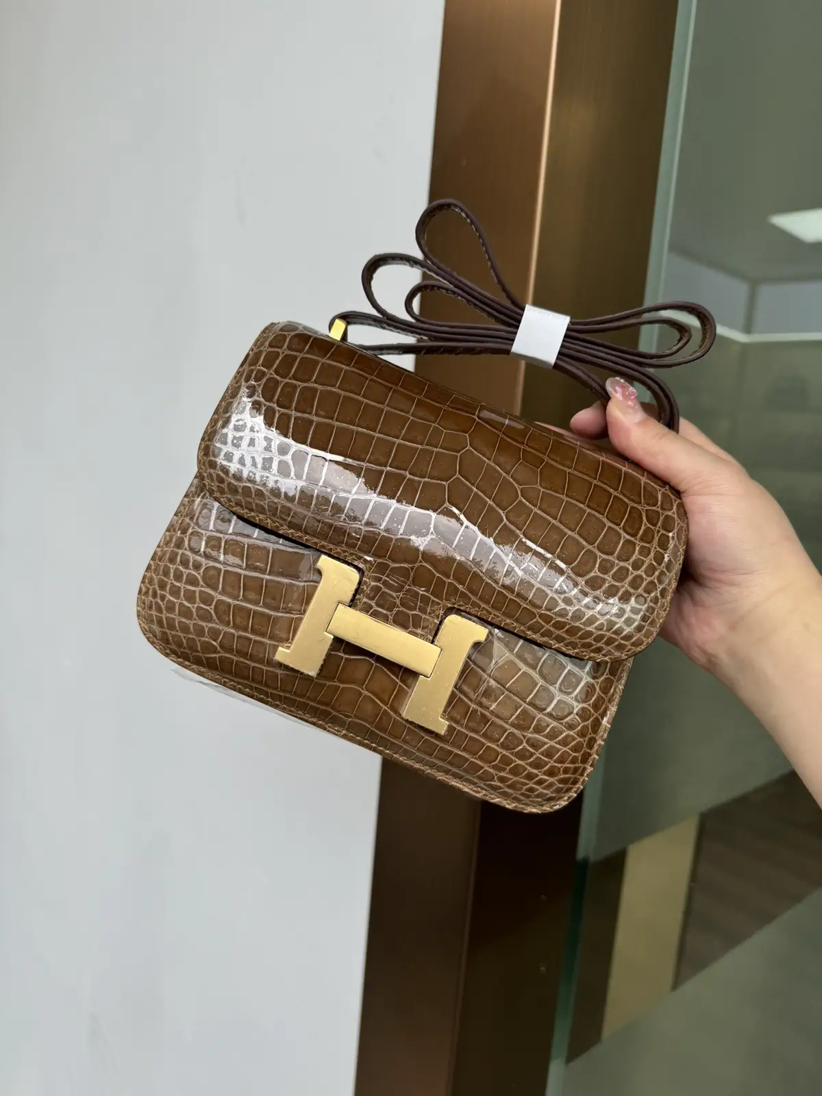 Hermès Crocodile Pattern Constance 19 Shoulder Bag image 1