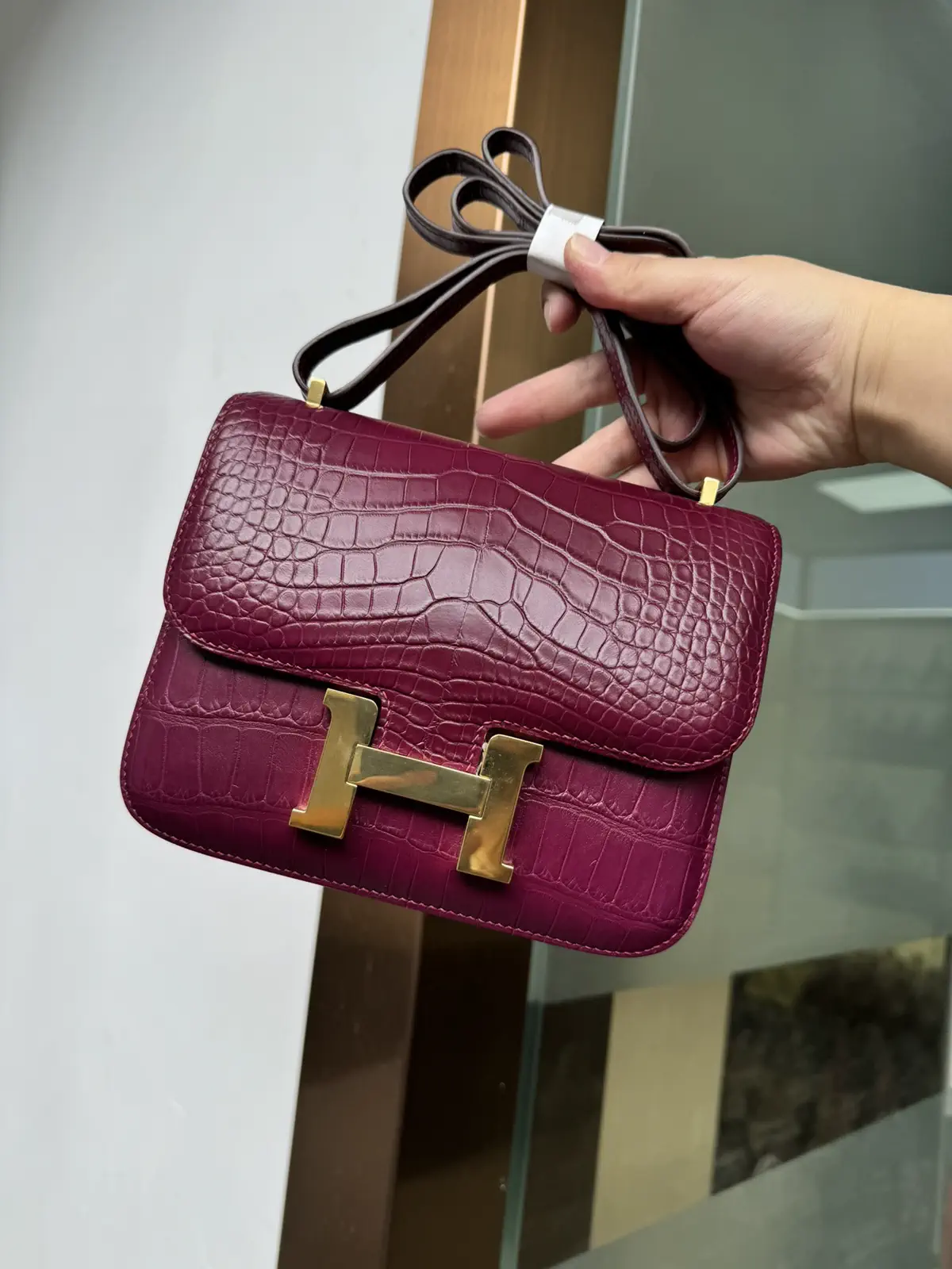 Hermès Crocodile Embossed Constance 19 Shoulder Bag image 1