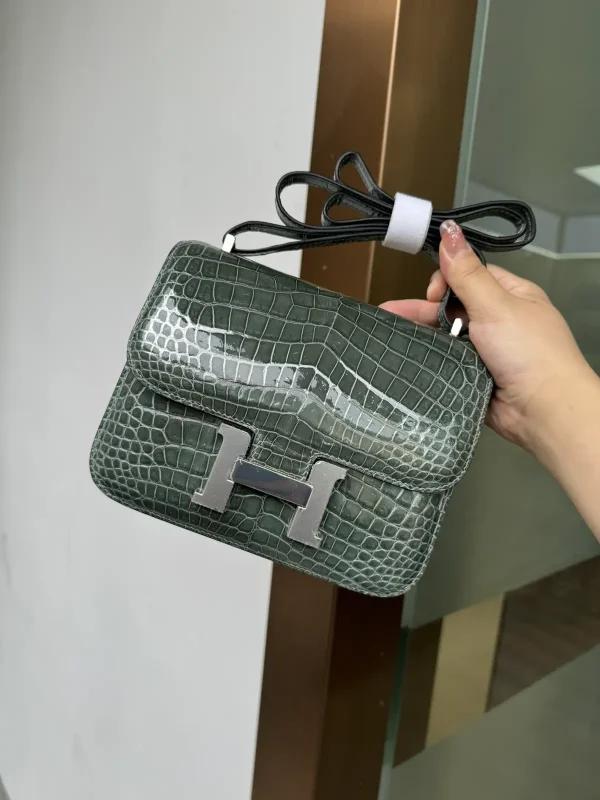 Hermès Crocodile Pattern Constance 19 Shoulder Bag image 1