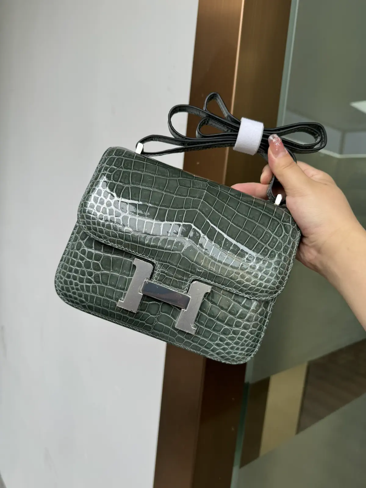 Hermès Crocodile Pattern Constance 19 Shoulder Bag image 1