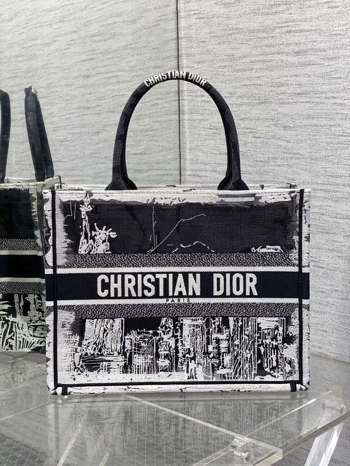 Dior Embroidered City Motif Book Tote Bag image 1