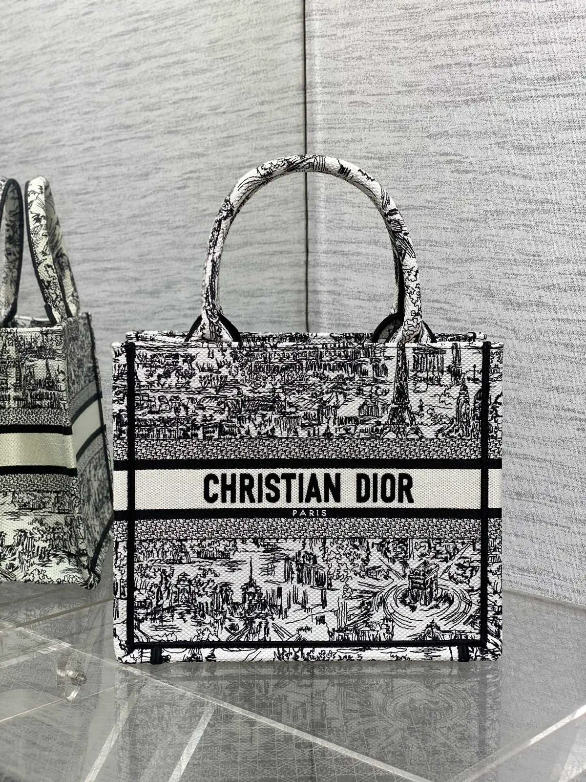 Dior Embroidered Paris Print Book Tote Bag image 1