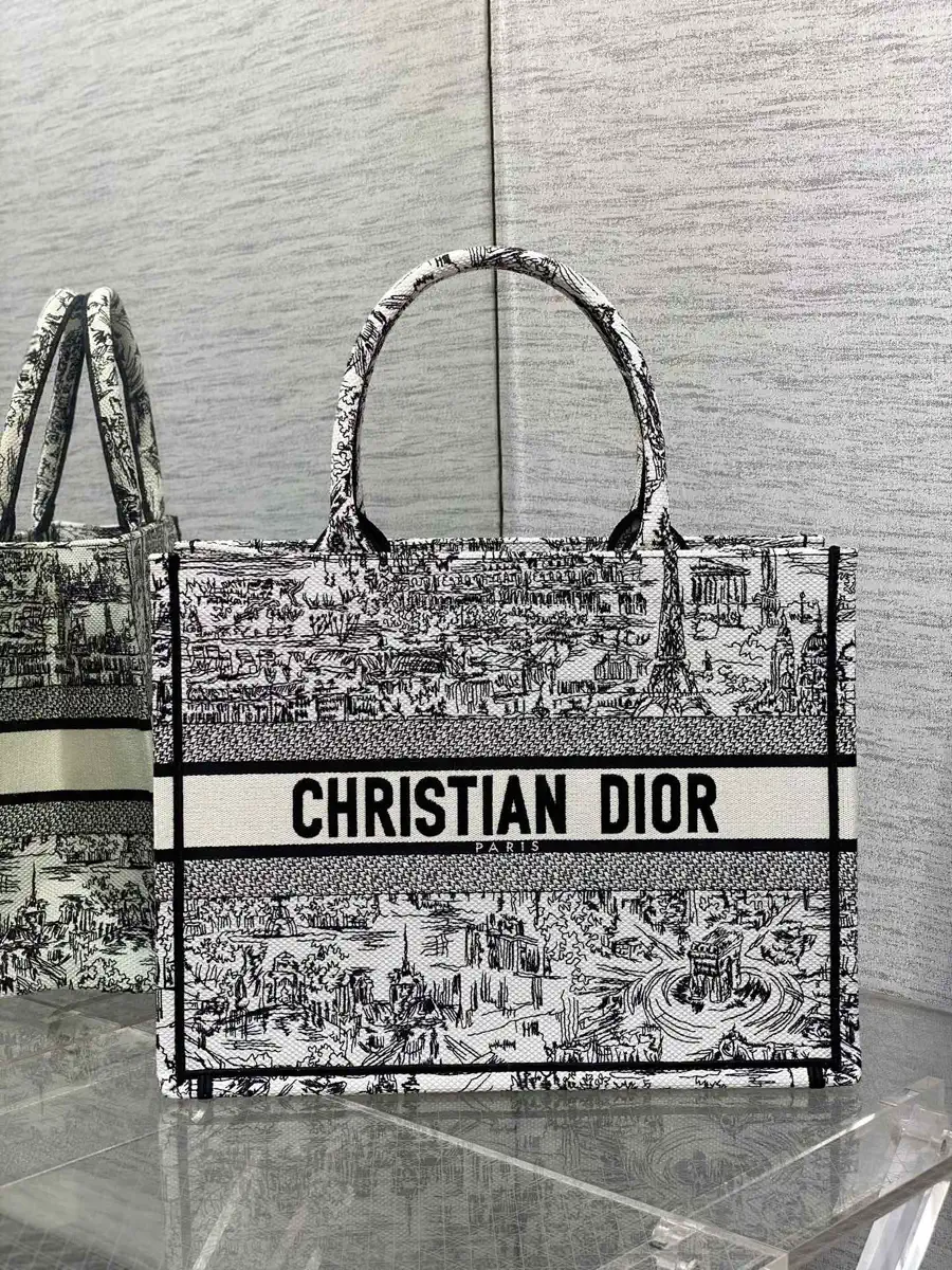 Dior Paris Street Scene Embroidered Book Tote Bag image 1